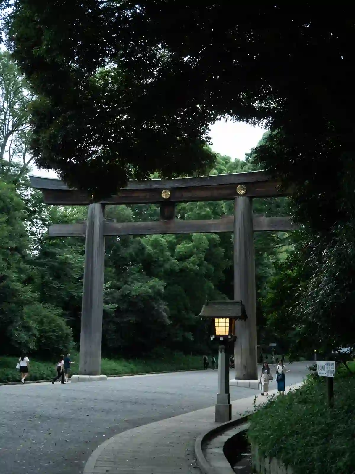 A large wooden torii gate at Meiji Jingu shrine in Tokyo